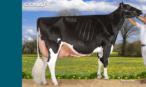 Fotos oficiales del 42 Concurso Nacional de la Raza Frisona CONAFE 2022