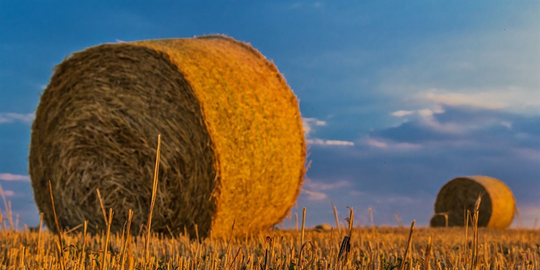 El Ministerio de Agricultura, Pesca y Alimentacin publica la...