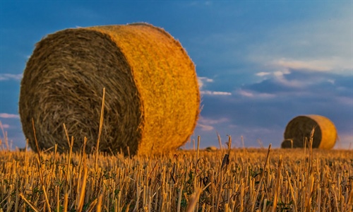 El Ministerio de Agricultura, Pesca y Alimentacin publica la...