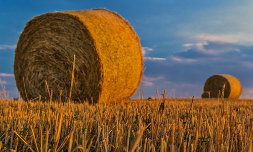 El Ministerio de Agricultura, Pesca y Alimentacin publica la...