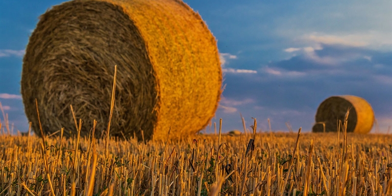 El Ministerio de Agricultura, Pesca y Alimentacin publica la informacin sobre las regiones de pago para la ayuda bsica a la renta de la nueva PAC