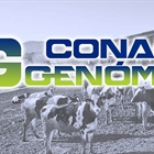 Actualización de las pruebas genómicas de Hembras CONAFE Octubre 2022
