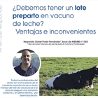 Debemos tener un lote preparto en vacuno de leche? Ventajas e inconvenientes