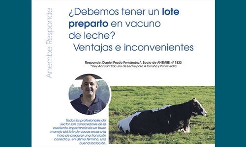 Debemos tener un lote preparto en vacuno de leche? Ventajas e...