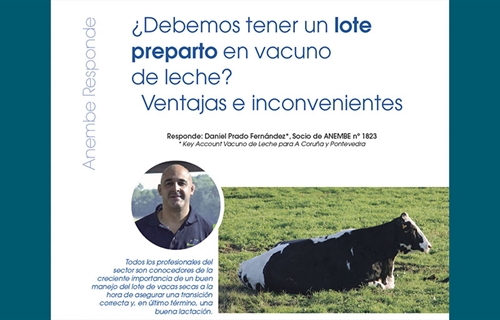 Debemos tener un lote preparto en vacuno de leche? Ventajas e...