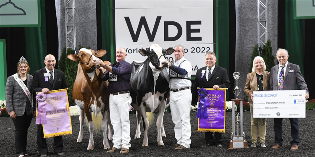 Oakfield Solom Footloose-ET, Vaca Holstein Gran Campeona y Vaca...