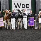 Oakfield Solom Footloose-ET, Vaca Holstein Gran Campeona y Vaca Campeona Absoluta del World Dairy Expo 2022