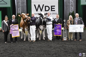 Oakfield Solom Footloose-ET, Vaca Holstein Gran Campeona y Vaca Campeona Absoluta del World Dairy Expo 2022