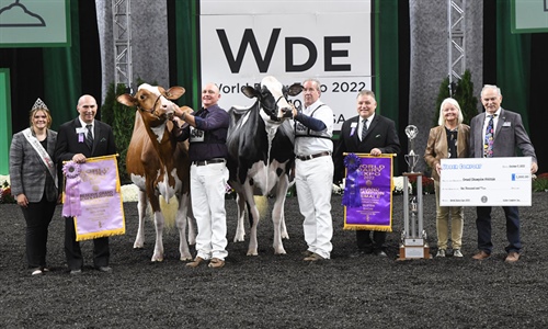 Oakfield Solom Footloose-ET, Vaca Holstein Gran Campeona y Vaca...