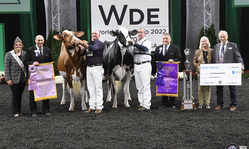 Oakfield Solom Footloose-ET, Vaca Holstein Gran Campeona y Vaca...