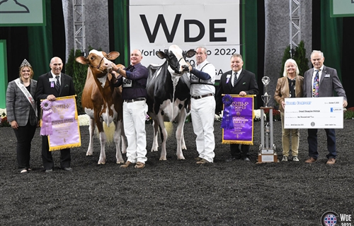 Oakfield Solom Footloose-ET, Vaca Holstein Gran Campeona y Vaca...
