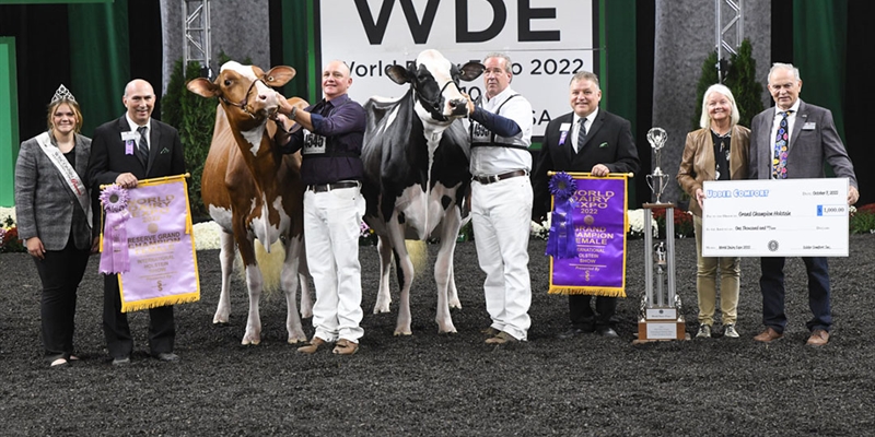 Oakfield Solom Footloose-ET, Vaca Holstein Gran Campeona y Vaca Campeona Absoluta del World Dairy Expo 2022