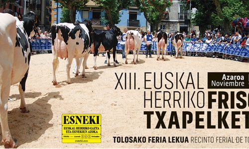 Cartel y programa del XIII Concurso de Ganado Frisón de Euskal Herria 2022