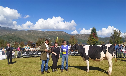 La Borda Redrock 411-502, de La Borda (Afauc), Vaca Gran Campeona del...