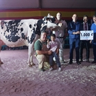 Parlero Wilson Helectra, Vaca Gran Campeona del Concurso de la Raza Frisona de Tineo 2022