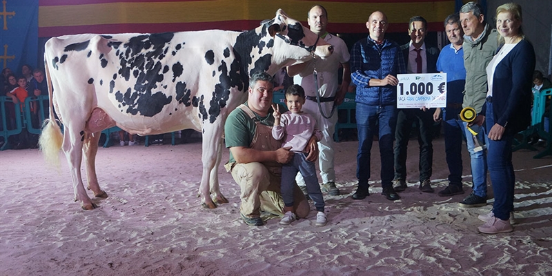 Parlero Wilson Helectra, Vaca Gran Campeona del Concurso de la Raza Frisona de Tineo 2022