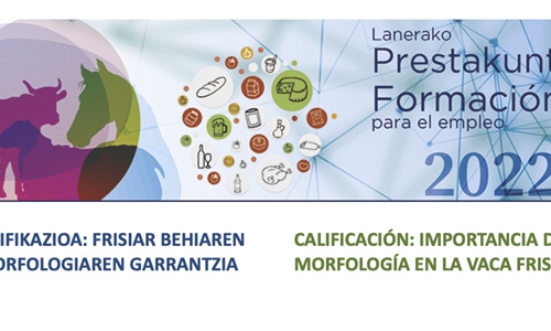 Curso "Calificacin: Importancia de la morfologa en la vaca frisona"