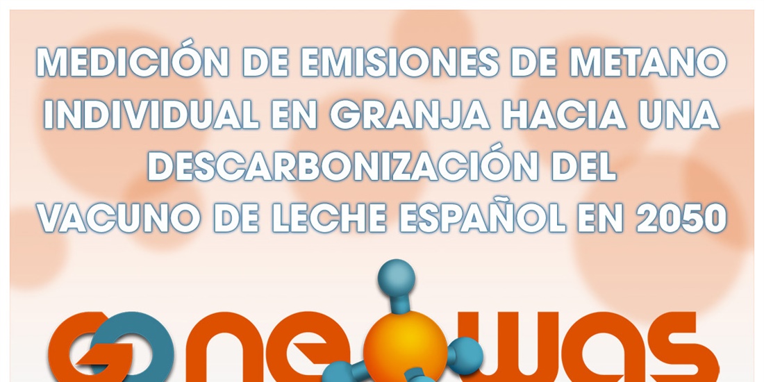 Proyecto de innovacin GO_NEOWAS