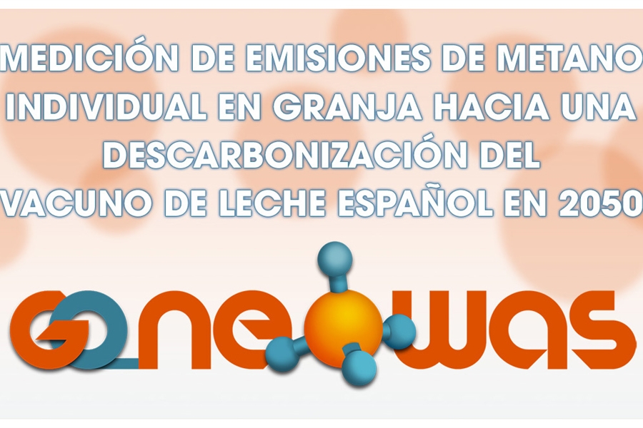 Proyecto de innovacin GO_NEOWAS