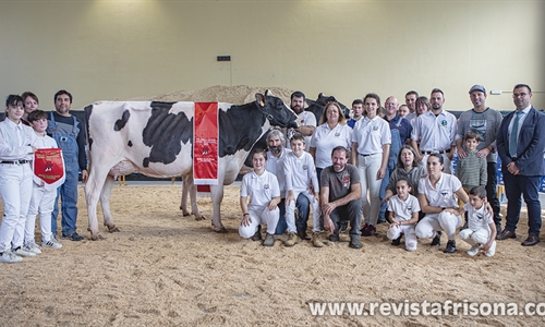 Planillo Delano Ruhm, Vaca Gran Campeona de Euskal Herria 2022