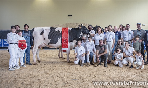 Planillo Delano Ruhm, Vaca Gran Campeona de Euskal Herria 2022