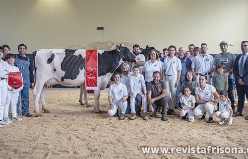 Planillo Delano Ruhm, Vaca Gran Campeona de Euskal Herria 2022