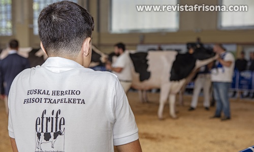 Otra mirada al XIII Concurso de Raza Frisona Euskal Herria 2022