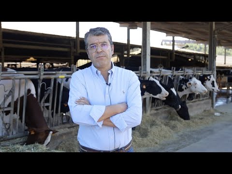 Vdeo: Entrevista con Paulino Badiola tras ganar el premio a la Vaca...