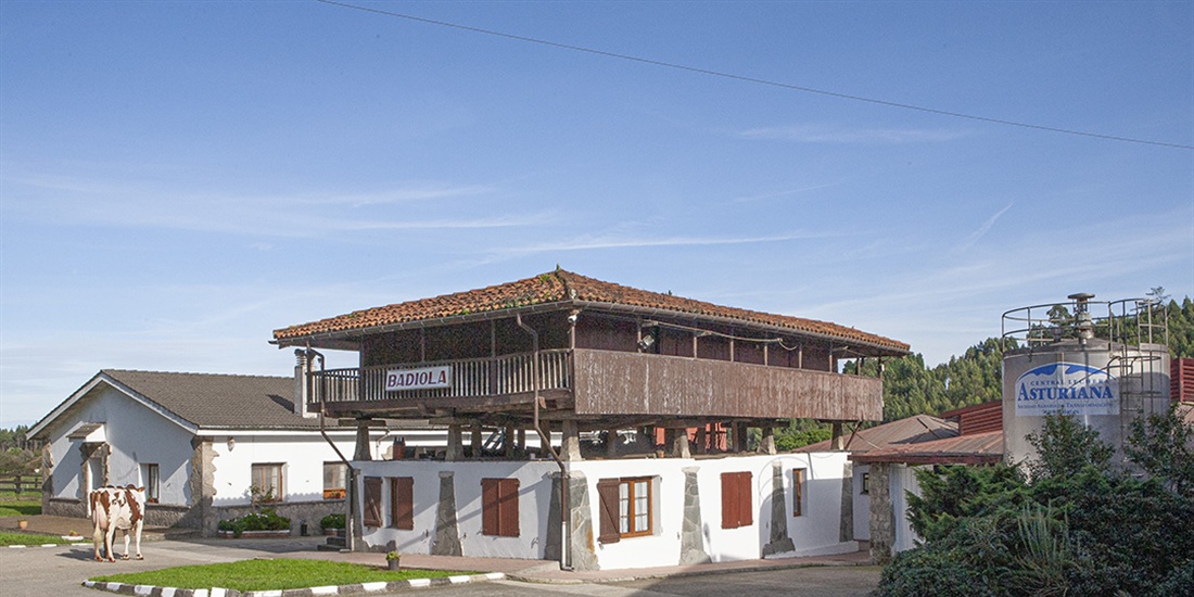 Badiola Holstein, lite de la raza Frisona desde el corazn de Asturias