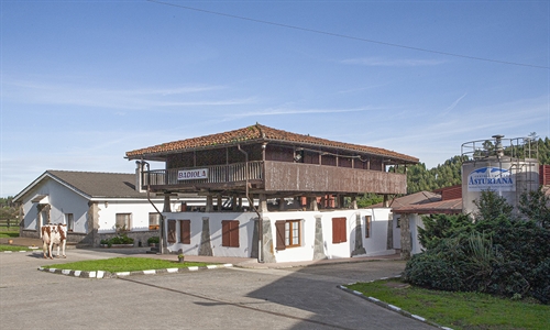 Badiola Holstein, lite de la raza Frisona desde el corazn de Asturias