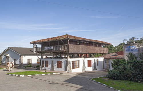 Badiola Holstein, lite de la raza Frisona desde el corazn de Asturias