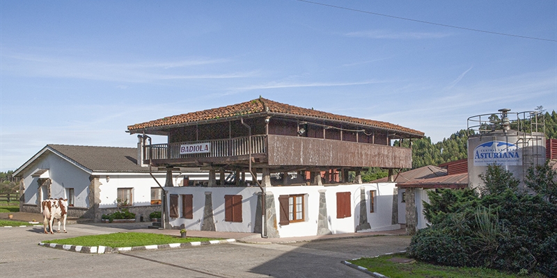 Badiola Holstein, lite de la raza Frisona desde el corazn de Asturias