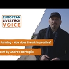 #RealidadGanadera: ¿Cómo funciona la agricultura de carbono? Un ejemplo concreto de Bélgica