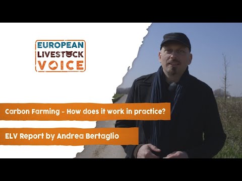 #RealidadGanadera: Cmo funciona la agricultura de carbono? Un ejemplo...