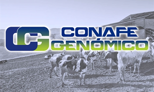Actualización de las pruebas genómicas de Hembras CONAFE Noviembre 2022