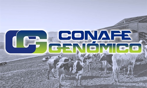 Actualizacin de las pruebas genmicas de Hembras CONAFE Noviembre 2022