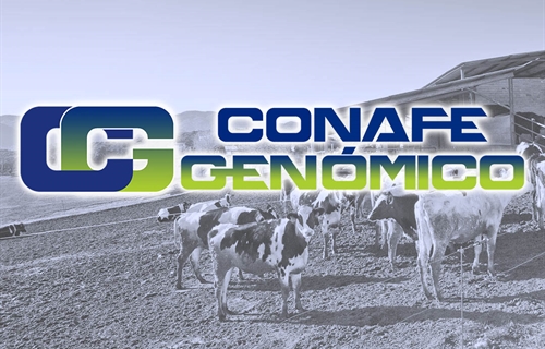 Actualización de las pruebas genómicas de Hembras CONAFE Noviembre 2022