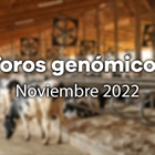 Nuevos toros genmicos con Prueba Oficial: Evaluacin genmica de noviembre 2022