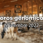Nuevos toros genómicos con Prueba Oficial: Evaluación genómica de noviembre 2022