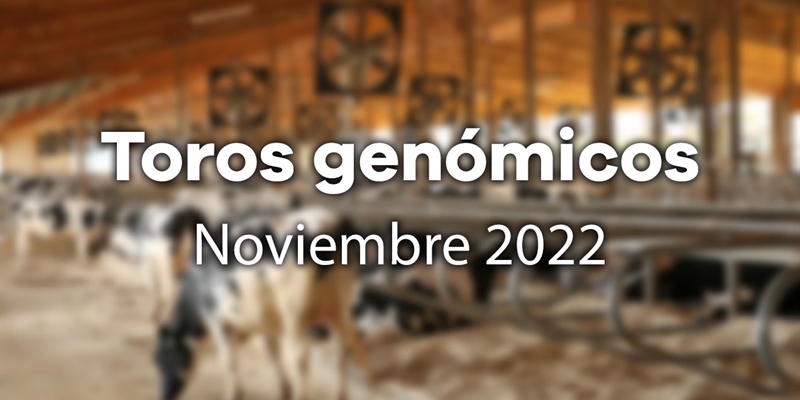Nuevos toros genómicos con Prueba Oficial: Evaluación genómica de noviembre 2022