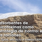 Adsorbentes de micotoxinas como estrategia de control en las raciones: Tipos, eficacia e interacciones