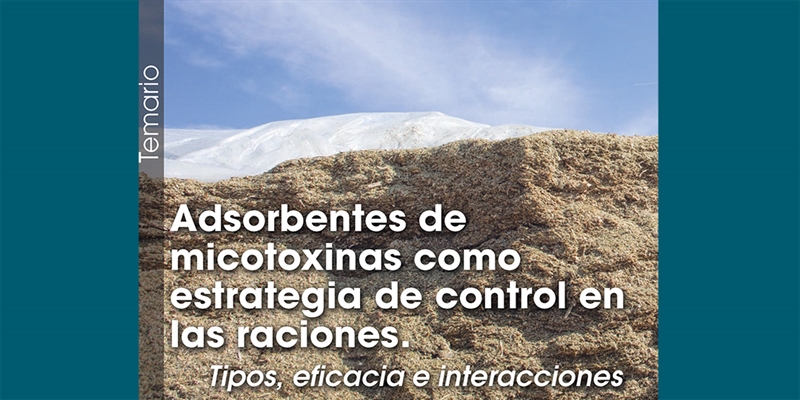 Adsorbentes de micotoxinas como estrategia de control en las raciones: Tipos, eficacia e interacciones