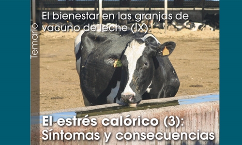 El bienestar en las granjas de vacuno de leche (IX): El estrés calórico...