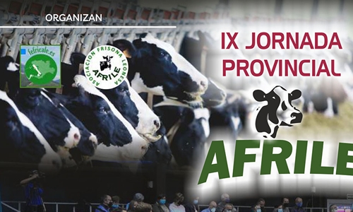 IX Jornada Provincial AFRILE