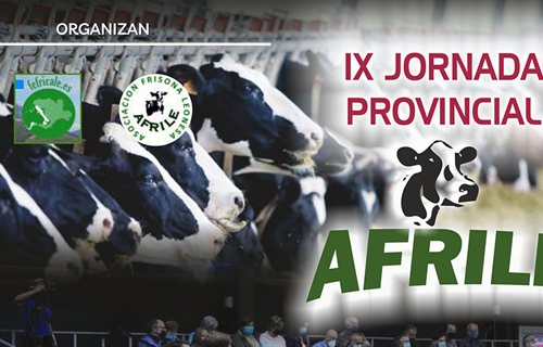 IX Jornada Provincial AFRILE