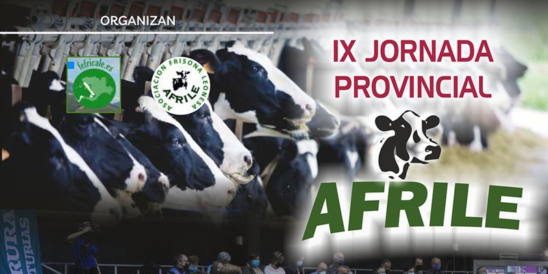 IX Jornada Provincial AFRILE