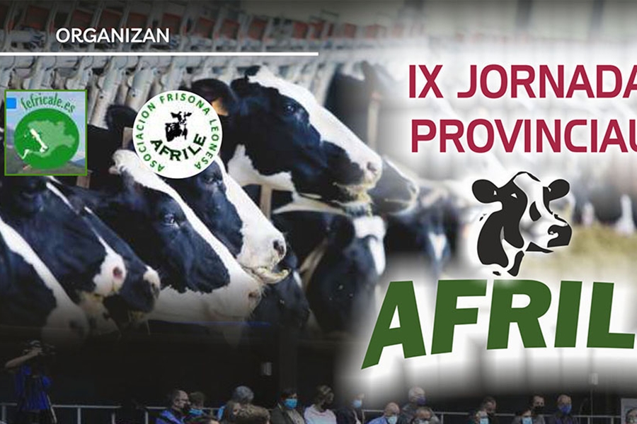 IX Jornada Provincial AFRILE