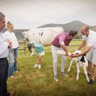 El programa El novato, que presenta Joaqun, visita Granja Cudaa junto a Miguel ngel Revilla para conocer de cerca la ganadera de vacuno de leche