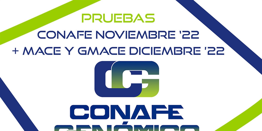 Nuevas pruebas CONAFE Noviembre 2022 + MACE y GMACE Diciembre 2022