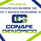 Nuevas pruebas CONAFE Noviembre 2022 + MACE y GMACE Diciembre 2022